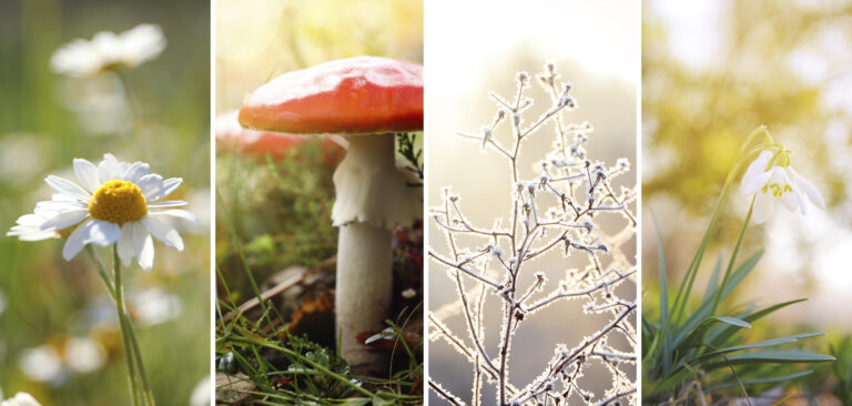 Lease Addendums for Seasonal Rules