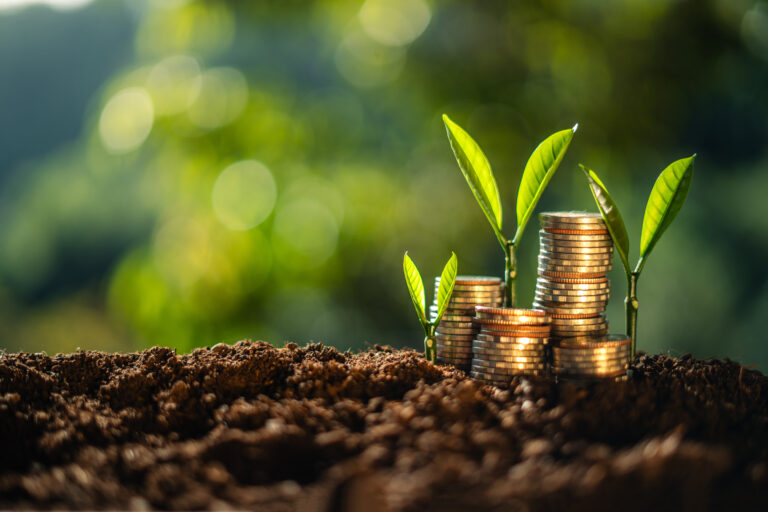 Mid-Year Rent Adjustments for Optimal ROI